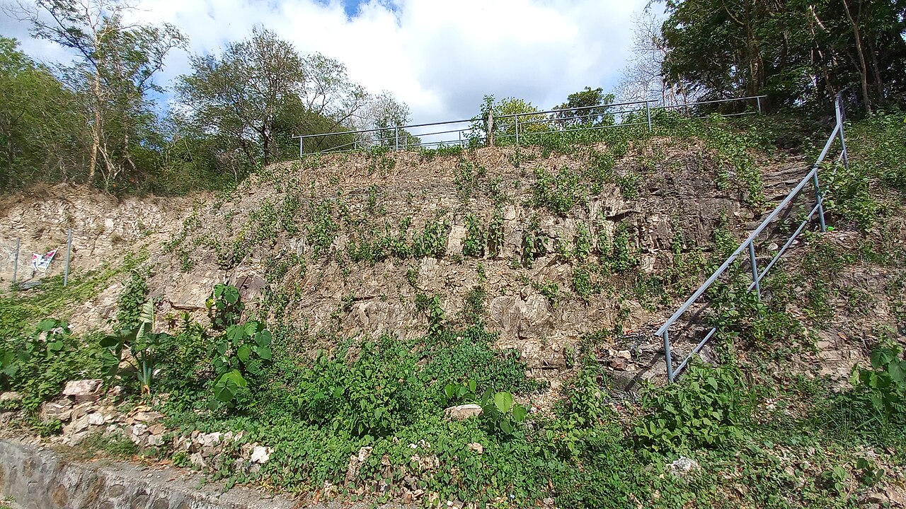 Natural fracture (joint) network in a rock outcrop